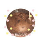 のんびり屋さんのもるもっと "KURIKURI"（個別スタンプ：14）