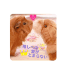 のんびり屋さんのもるもっと "KURIKURI"（個別スタンプ：24）