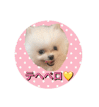 プポちゃん3（個別スタンプ：18）