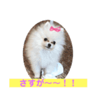 プポちゃん3（個別スタンプ：22）
