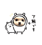 プポちゃん3（個別スタンプ：24）