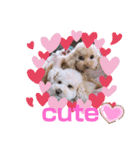リヨン＆ルナ（個別スタンプ：1）