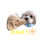 リヨン＆ルナ（個別スタンプ：2）