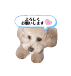 リヨン＆ルナ（個別スタンプ：9）