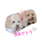 リヨン＆ルナ（個別スタンプ：12）