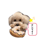リヨン＆ルナ（個別スタンプ：18）
