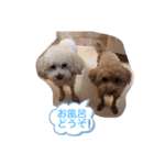 リヨン＆ルナ（個別スタンプ：40）