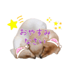 笑福・笑顔のスタンプ vol.1（個別スタンプ：2）