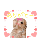 笑福・笑顔のスタンプ vol.1（個別スタンプ：3）