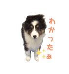 alex.m（個別スタンプ：1）