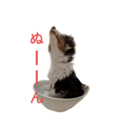 alex.m（個別スタンプ：6）