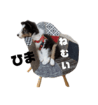 alex.m（個別スタンプ：13）