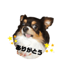 仲良しハルとナツ（個別スタンプ：8）