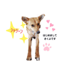 さくよさんの戯言（個別スタンプ：2）