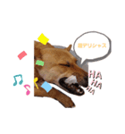さくよさんの戯言（個別スタンプ：8）