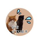 敬語にゃんこさん（個別スタンプ：9）