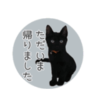 敬語にゃんこさん（個別スタンプ：12）