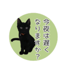 敬語にゃんこさん（個別スタンプ：14）
