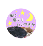 敬語にゃんこさん（個別スタンプ：15）
