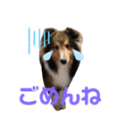 Winのスタンプです（個別スタンプ：6）