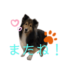 Winのスタンプです（個別スタンプ：7）
