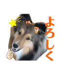Winのスタンプです（個別スタンプ：9）