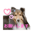 Winのスタンプです（個別スタンプ：10）