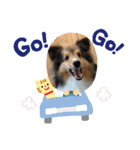 Winのスタンプです（個別スタンプ：18）