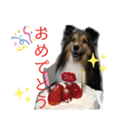 Winのスタンプです（個別スタンプ：23）