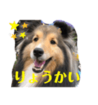 Winのスタンプです（個別スタンプ：24）