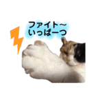 なっこたんの1日.part2（個別スタンプ：3）