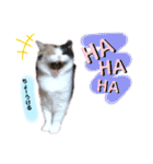なっこたんの1日.part2（個別スタンプ：5）