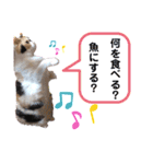 なっこたんの1日.part2（個別スタンプ：11）