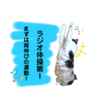なっこたんの1日.part2（個別スタンプ：13）