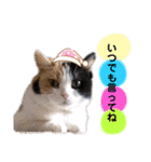 なっこたんの1日.part2（個別スタンプ：15）