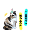 なっこたんの1日.part2（個別スタンプ：16）
