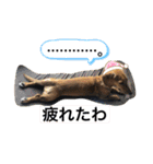 ミックス.T.October32（個別スタンプ：2）