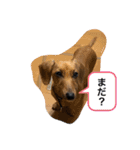 ミックス.T.October32（個別スタンプ：3）