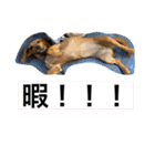 ミックス.T.October32（個別スタンプ：9）