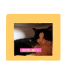 ミニピンとパンダ猫（個別スタンプ：7）