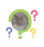 ねずみのすたんぷ（個別スタンプ：2）