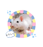 ねずみのすたんぷ（個別スタンプ：3）