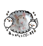 ねずみのすたんぷ（個別スタンプ：8）
