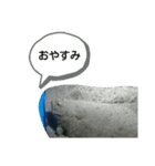 魚達の愉快なおしゃべり（個別スタンプ：2）