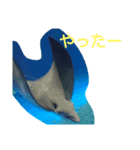 魚達の愉快なおしゃべり（個別スタンプ：3）