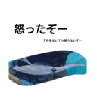 魚達の愉快なおしゃべり（個別スタンプ：8）
