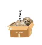コロコロコロッケ（個別スタンプ：1）