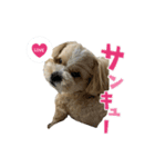 コロコロコロッケ（個別スタンプ：4）