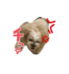 コロコロコロッケ（個別スタンプ：7）