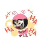 ミモザファミリー日常2（個別スタンプ：3）